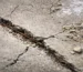 17 Types Of Concrete Cracks and Defects Causes, Identification, and Prevention